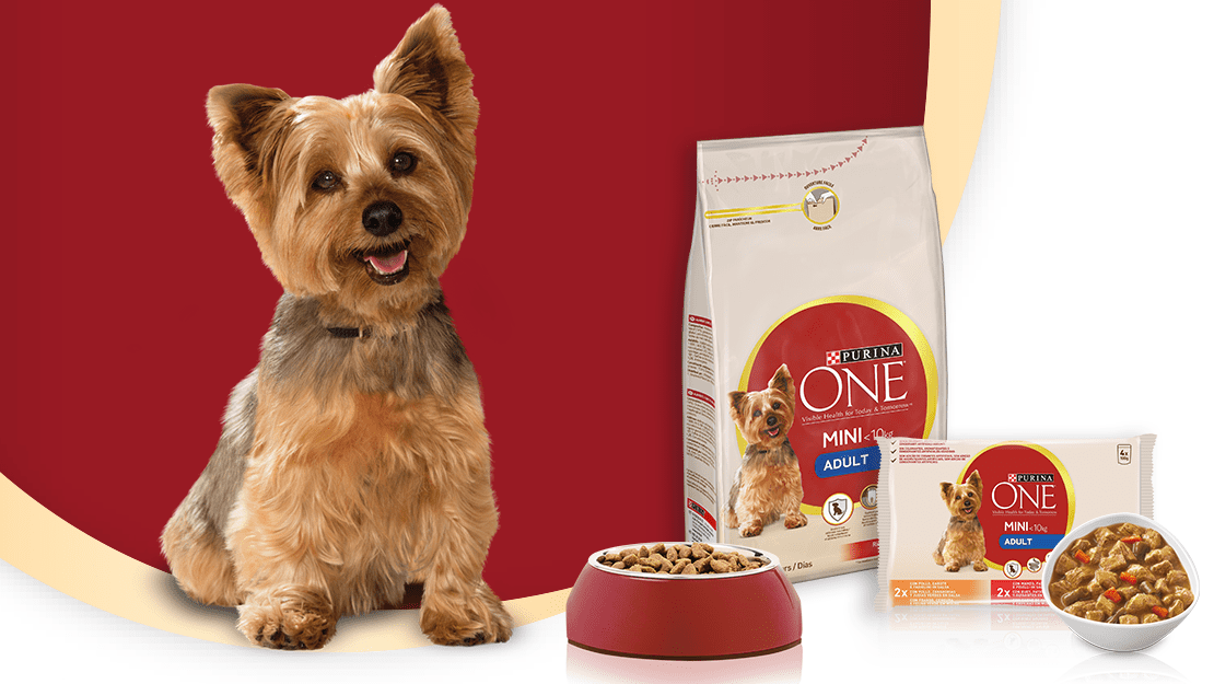 Comida húmeda para gatos Purina ONE®