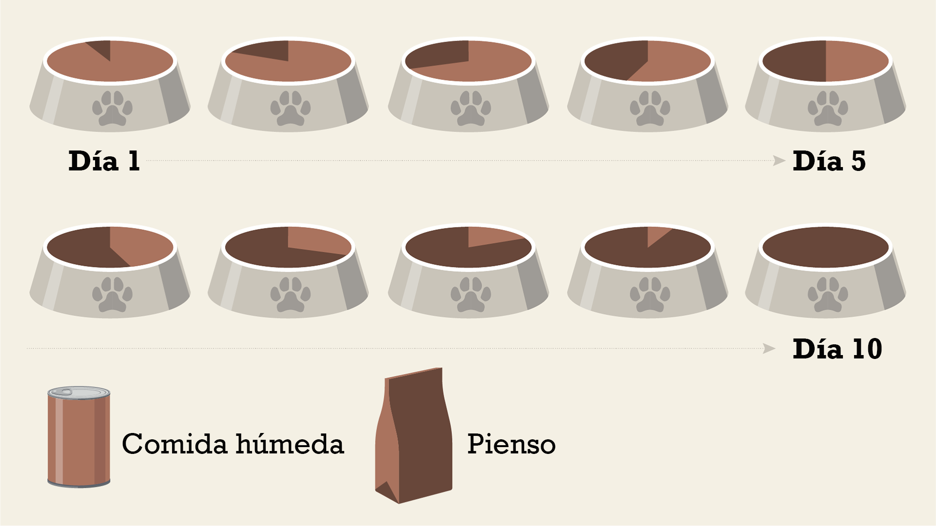 transición de alimentos húmedos a secos