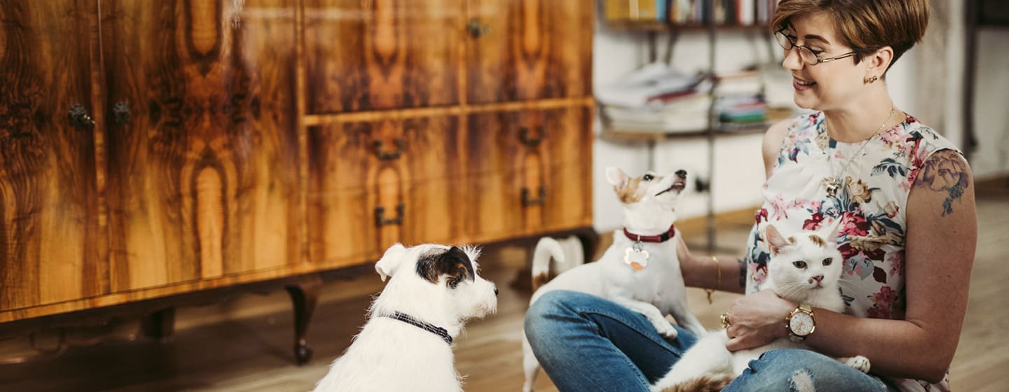 Rutina de alimentación para tu mascota estos días