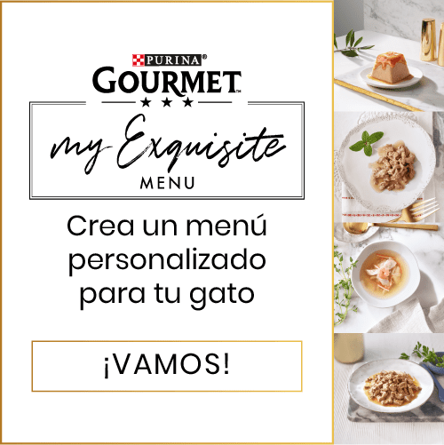 Gourmet Exquisite menu