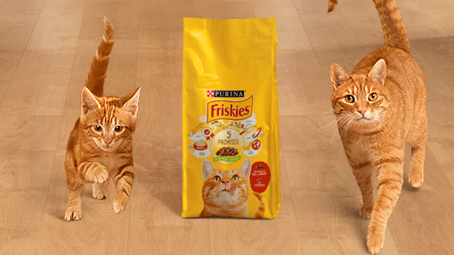 Pienso Purina® Friskies® Gato​