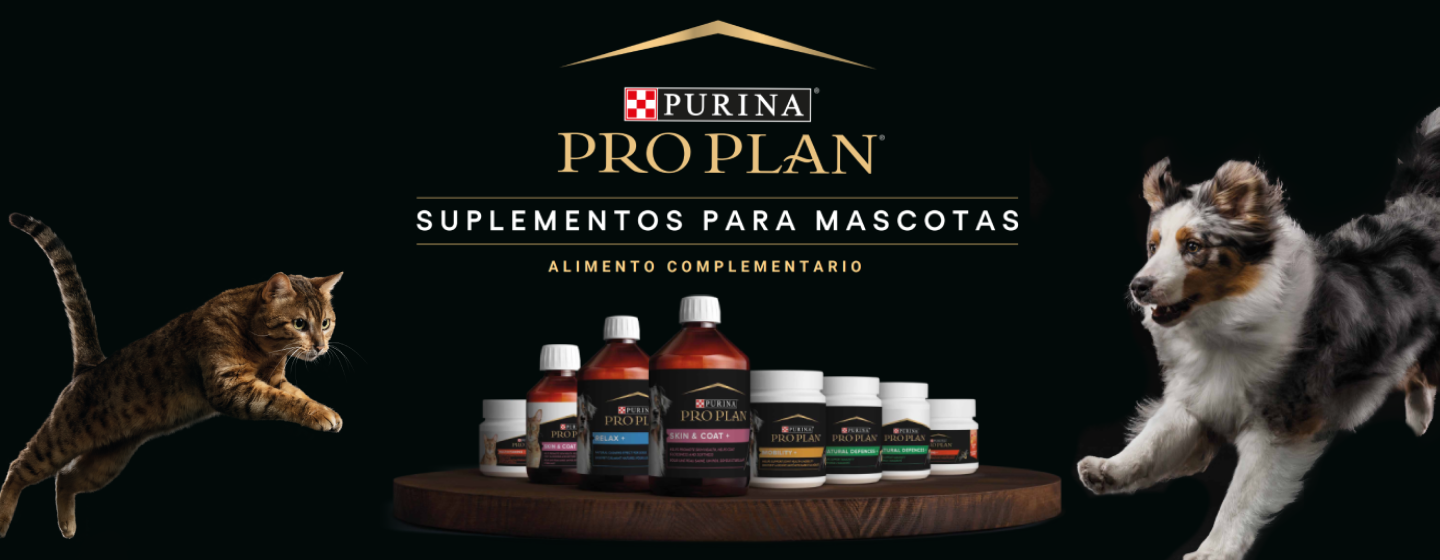 cabecera suplementos purina