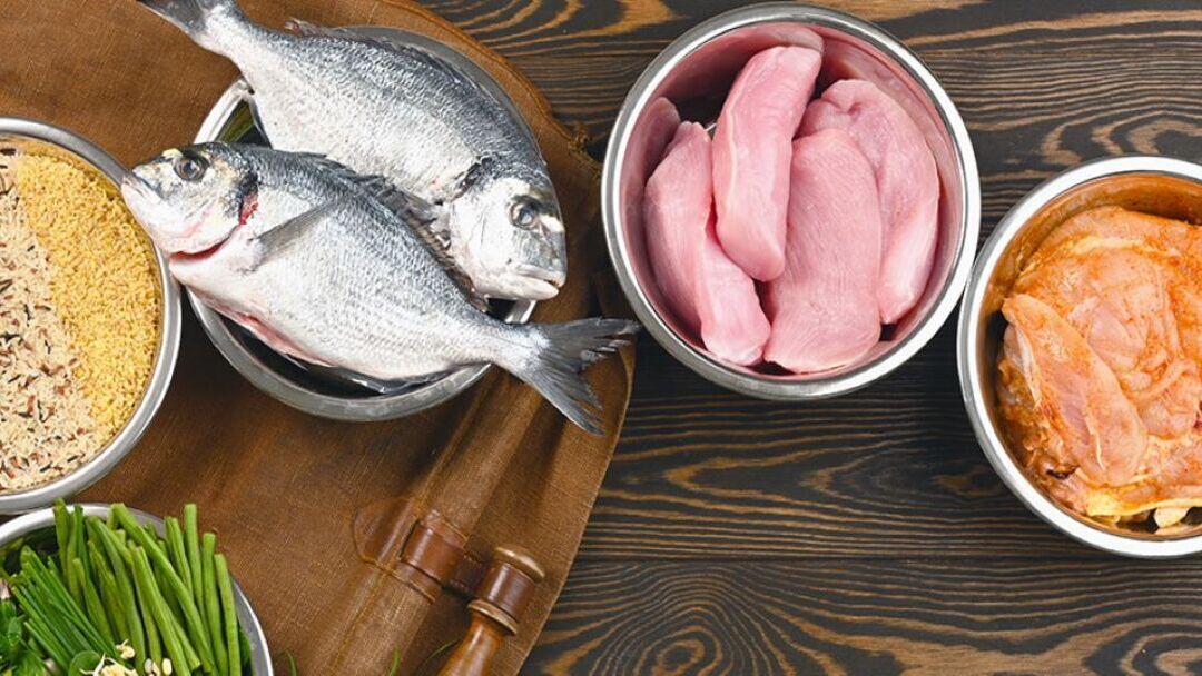 Pienso con salmón, con cordero, con pollo… Tipos de pienso saludables y naturales para tu perro