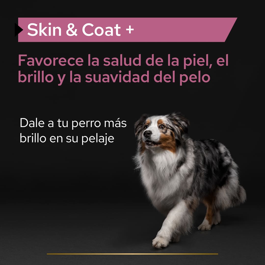鍔 Cerco Honorable PRO PLAN® Skin & Coat+ Suplemento para Perros Adulto & Sénior