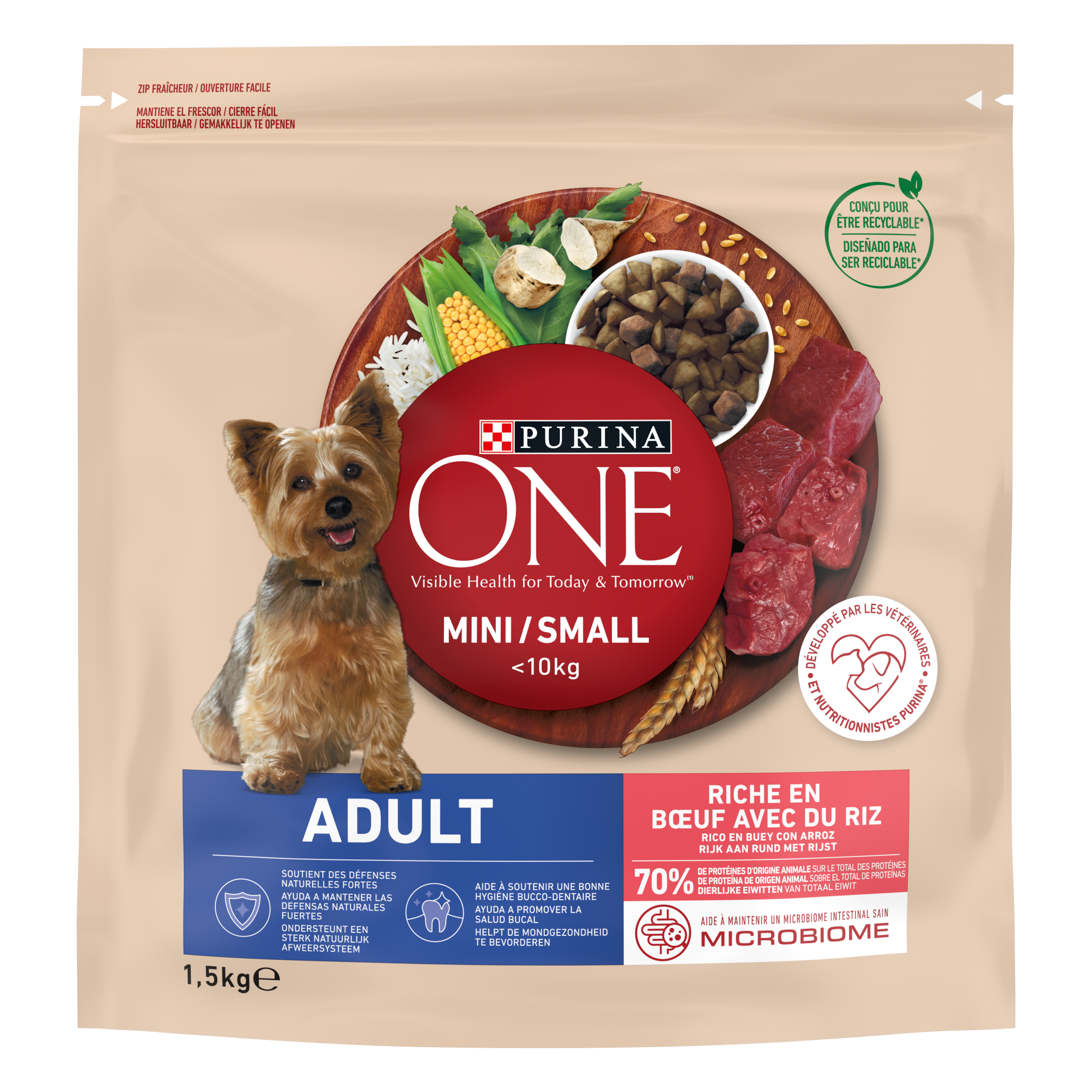 Especial Sangrar Dictar PURINA® ONE Mini Comida seca perros pequeños Adulto | Purina®