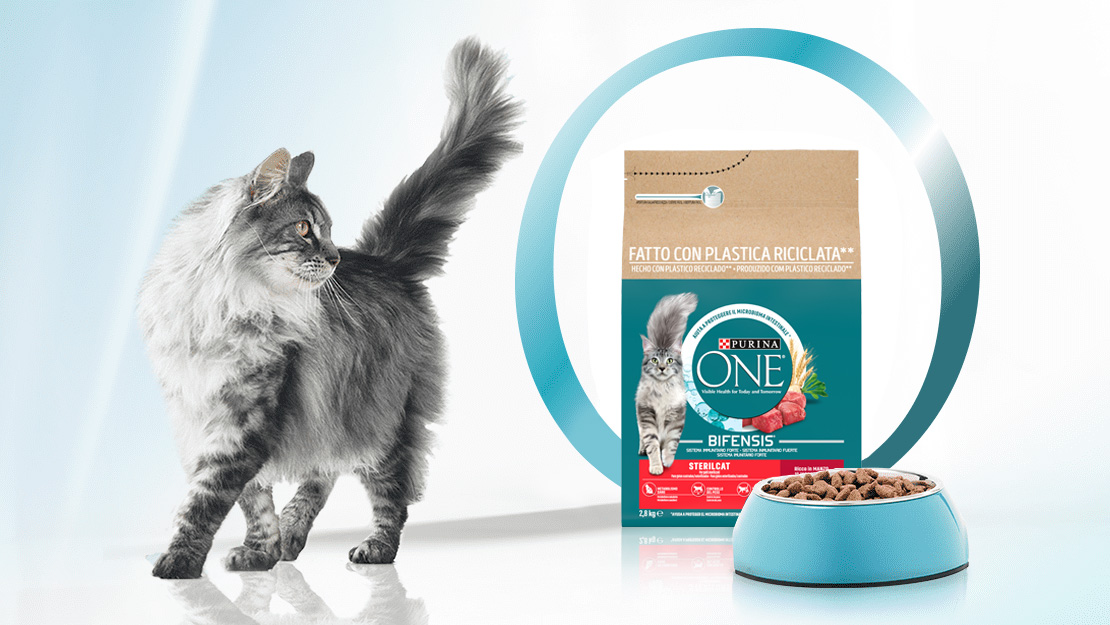 Pienso para gatos Purina ONE®