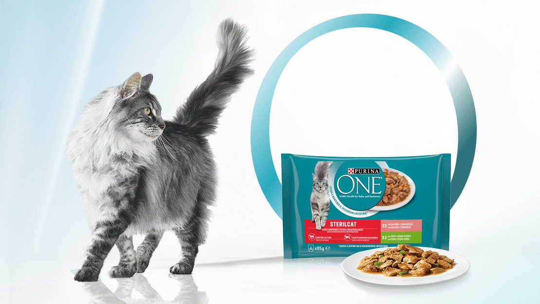 Comida húmeda para gatos Purina ONE®