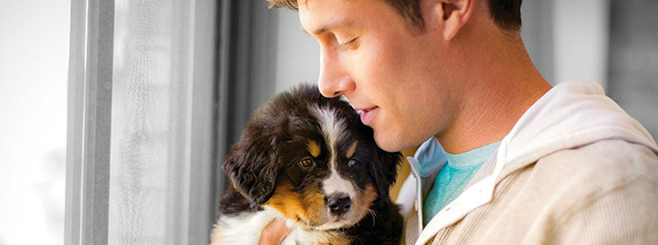 Cómo entrenar a un cachorro para que haga sus necesidades: los mejores consejos