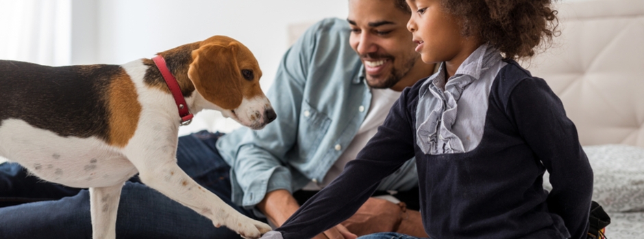 Presentar a cachorros y niños