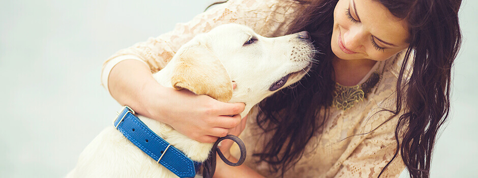 Castración y esterilización de cachorros