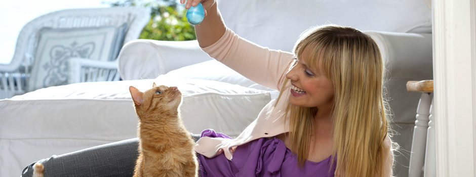Playing with cat