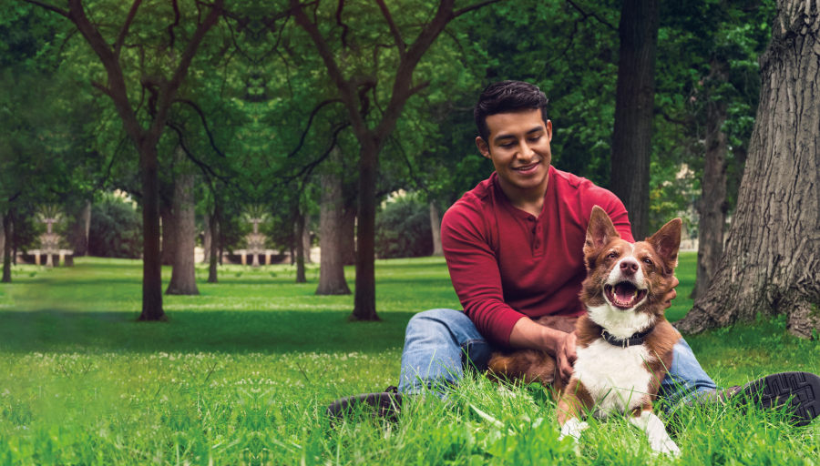 Chico con perro sentados en el césped