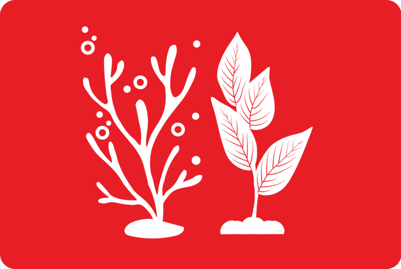  logotipo de sostenibilidad con plantas blancas sobre fondo rojo