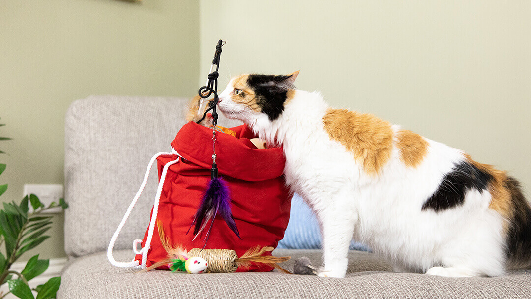 Juguetes para olfatear gatos en una bolsa roja.