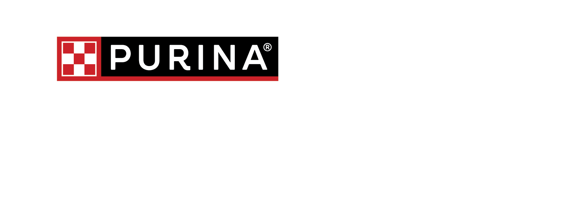 Dentalife