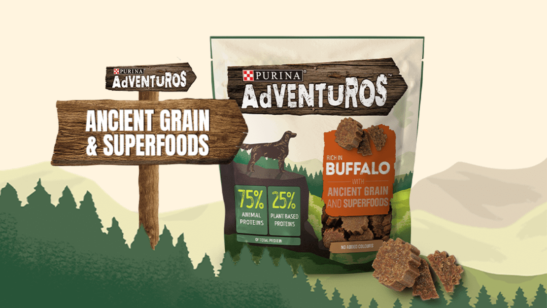 Purina AdVENTuROS Grano Ancestral y Superalimentos snacks para perros