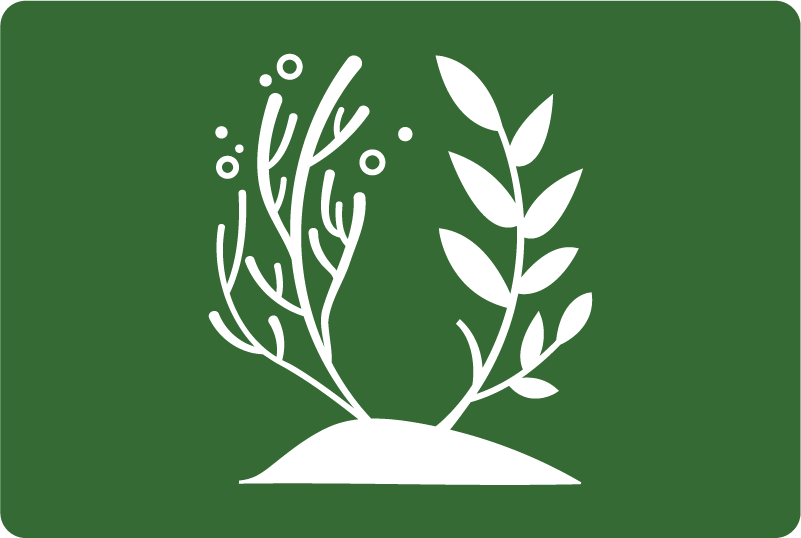 Sourcing & regeneration