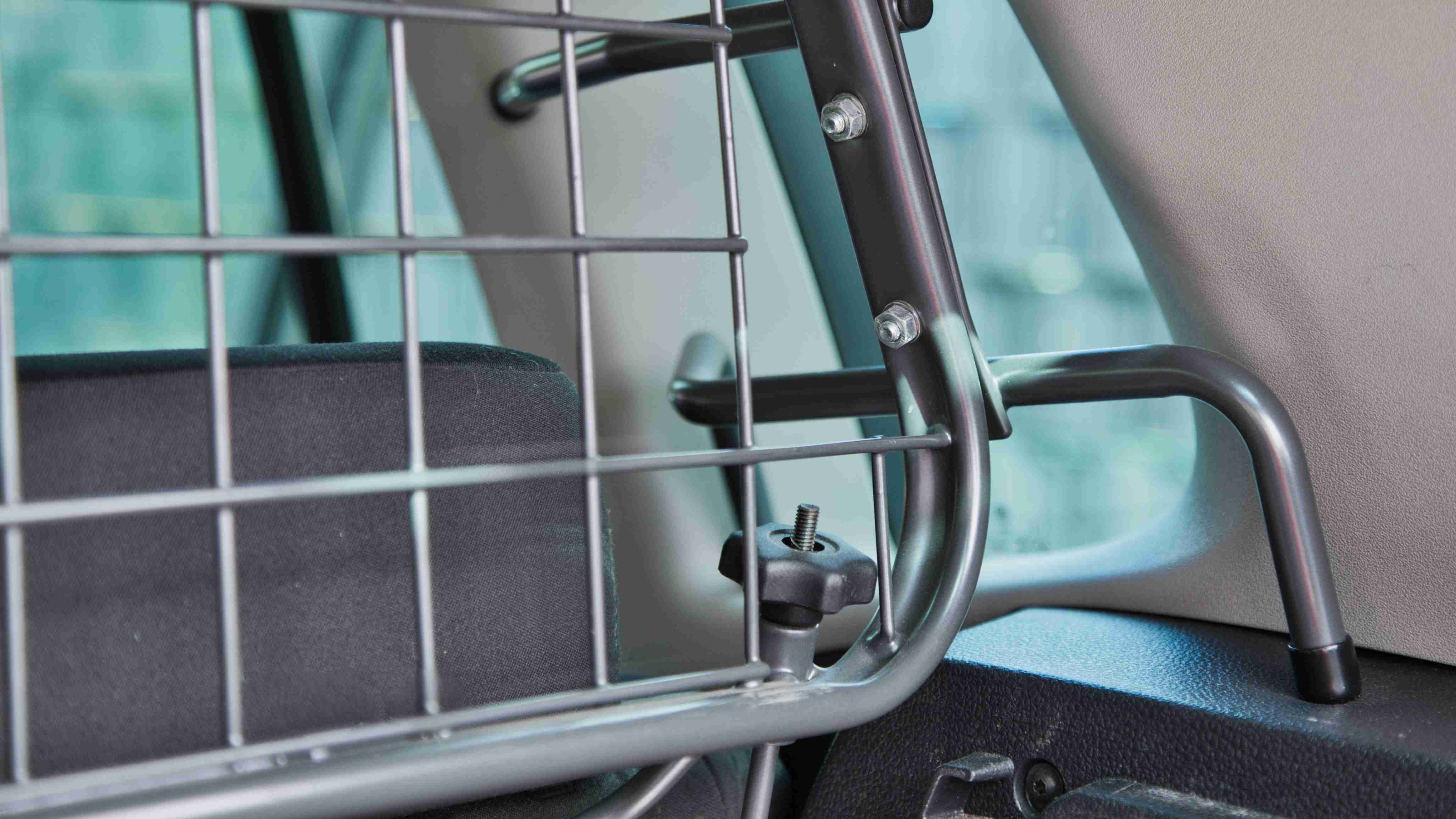 Consejos para viajar con perro en coche