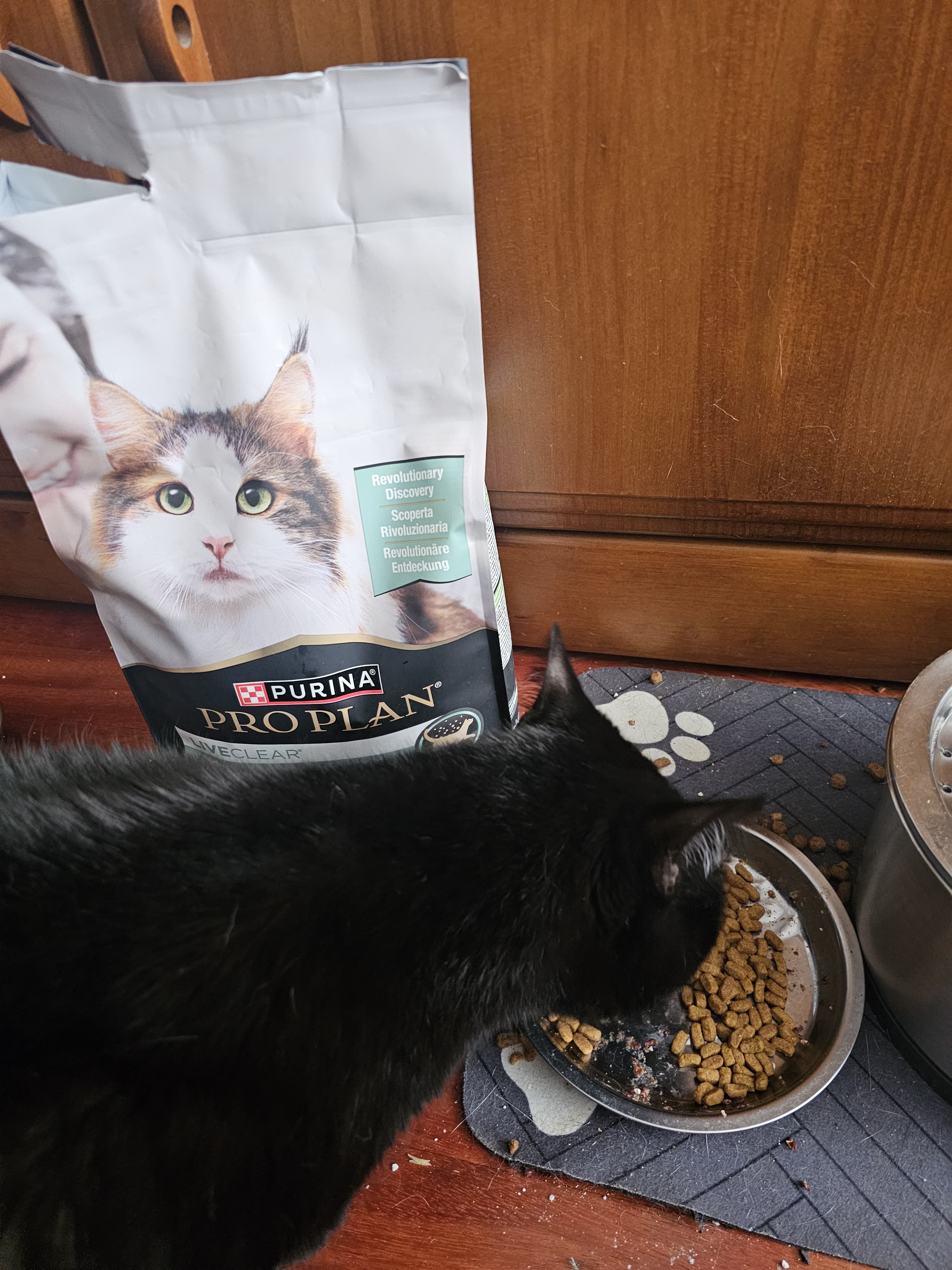 Salem y Purina Pro Plan Live Clear