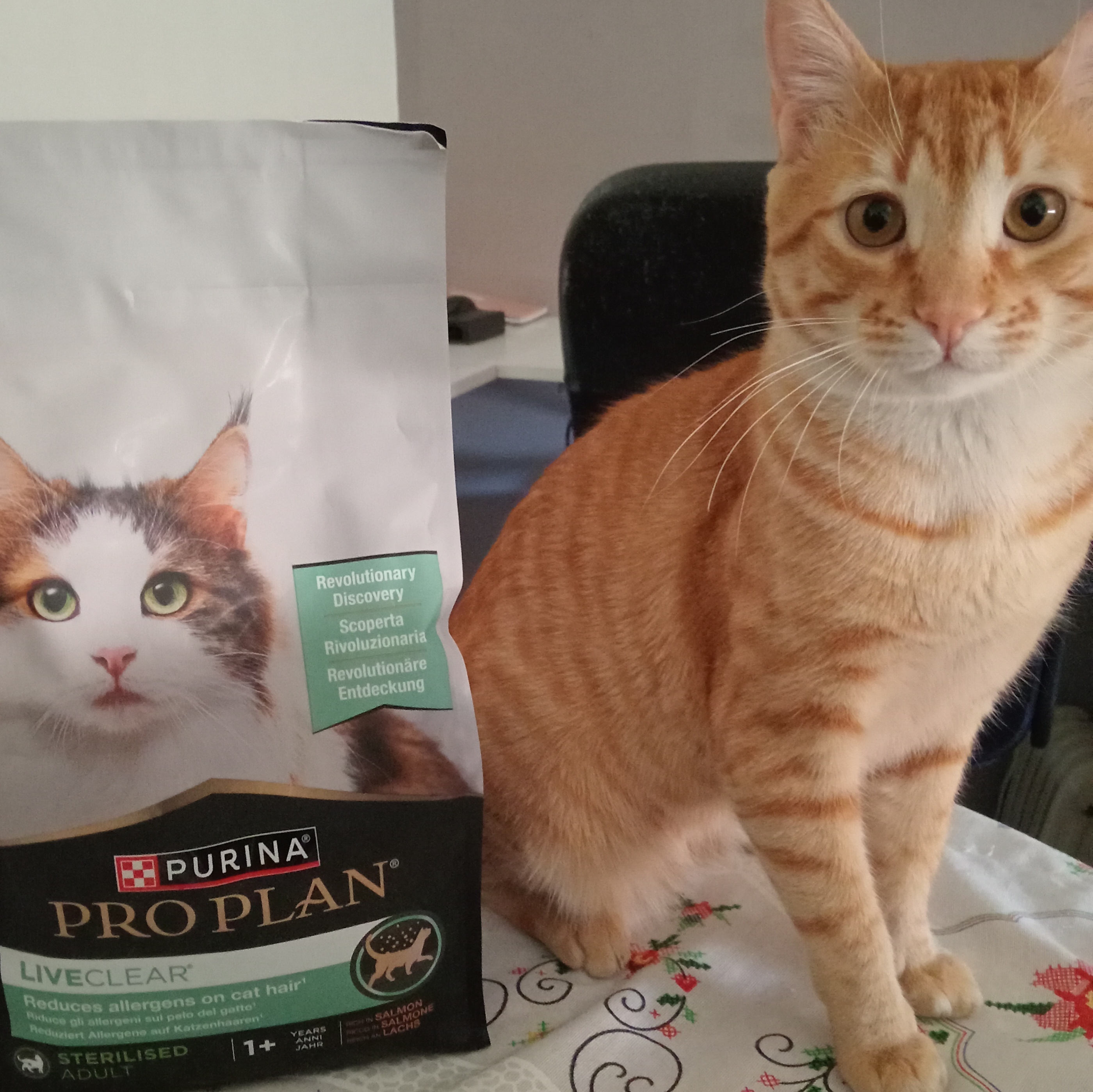 Isco&amp;Purina