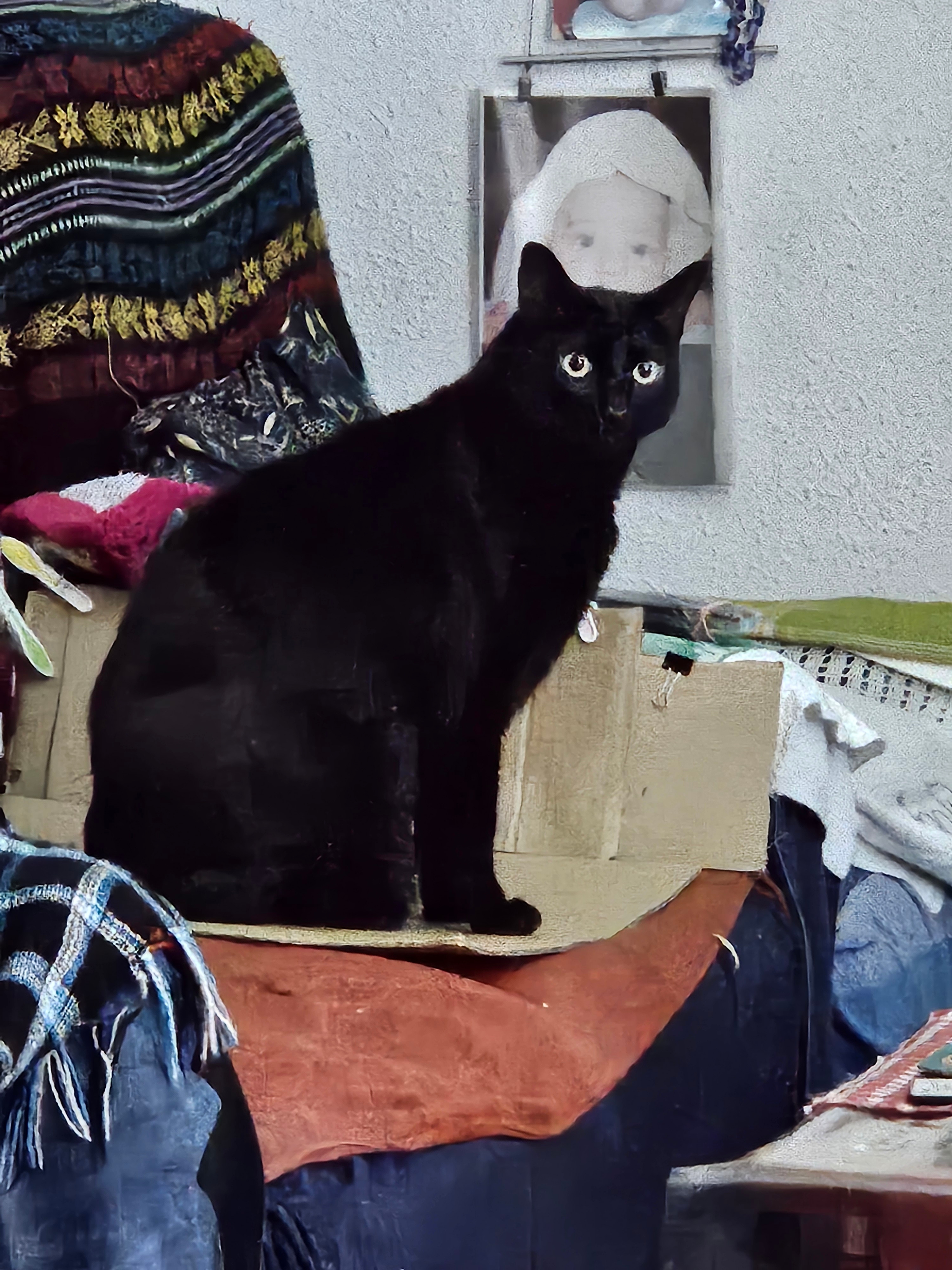 Mi copito al que le he dado la sopa de salmon