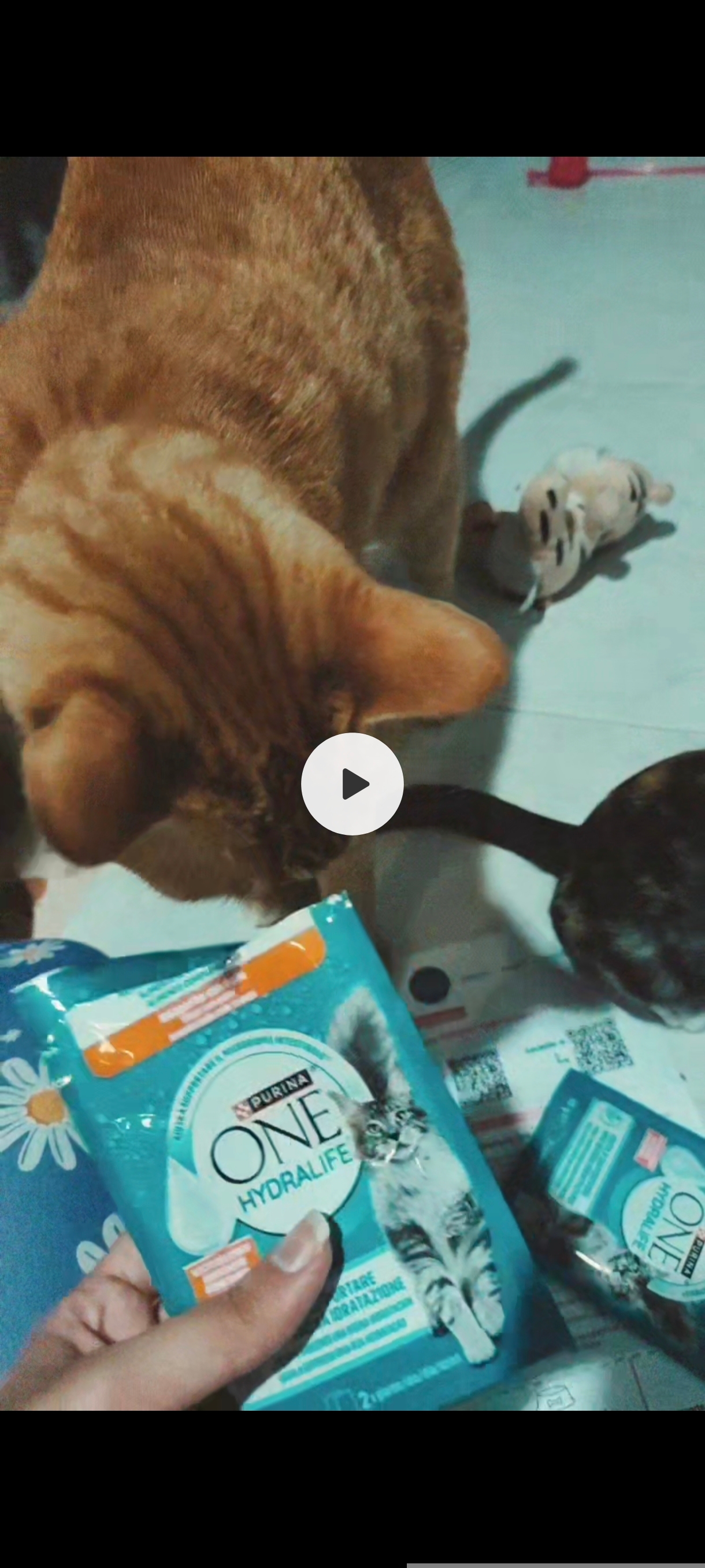 Hicimos un vídeo probando el producto