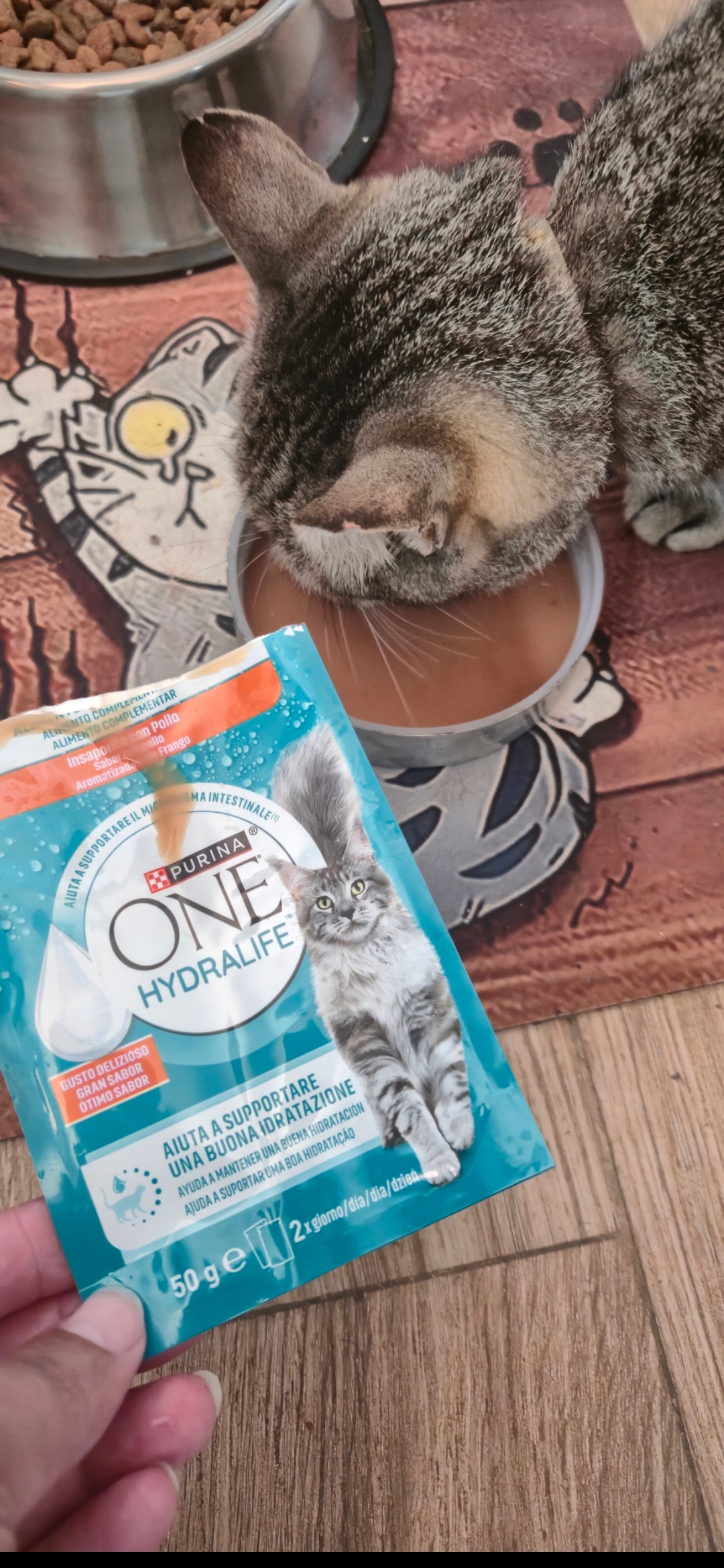 Michi con hydralife de pollo