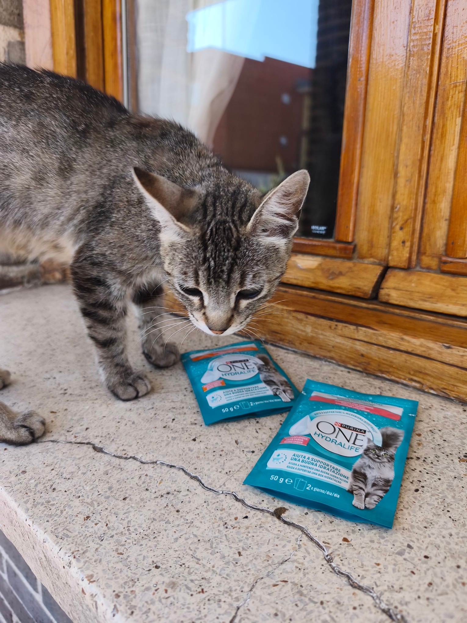 Hydralife Salmón y Pollo y mi gatita