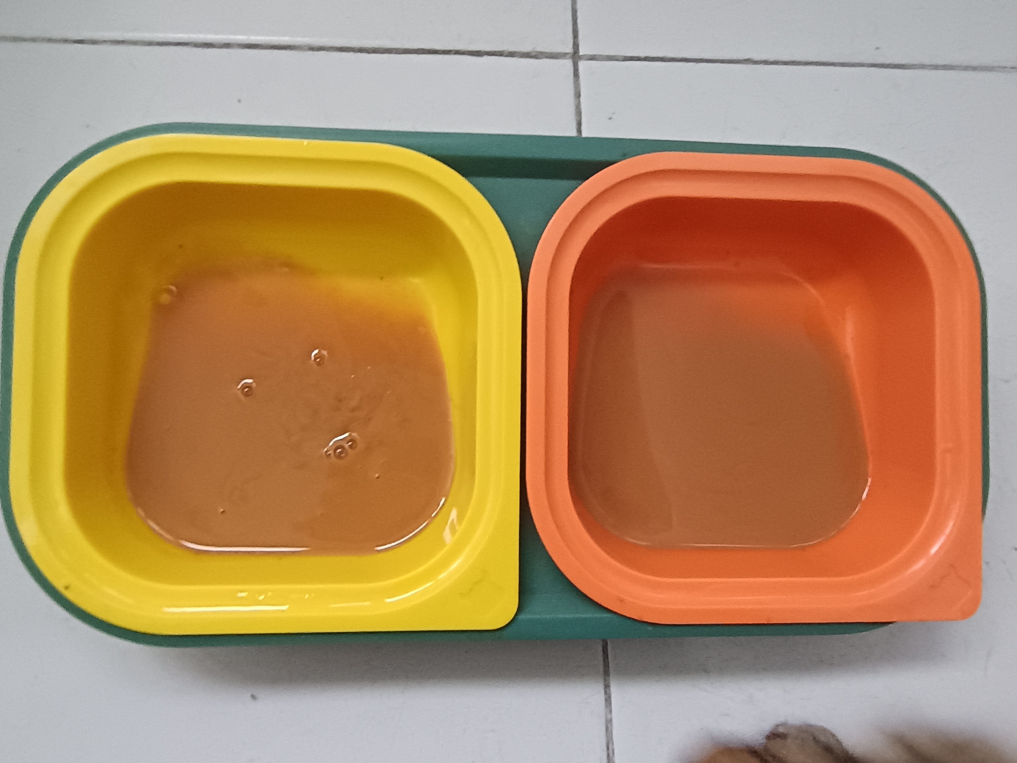 Recién distribuido en sus cuencos