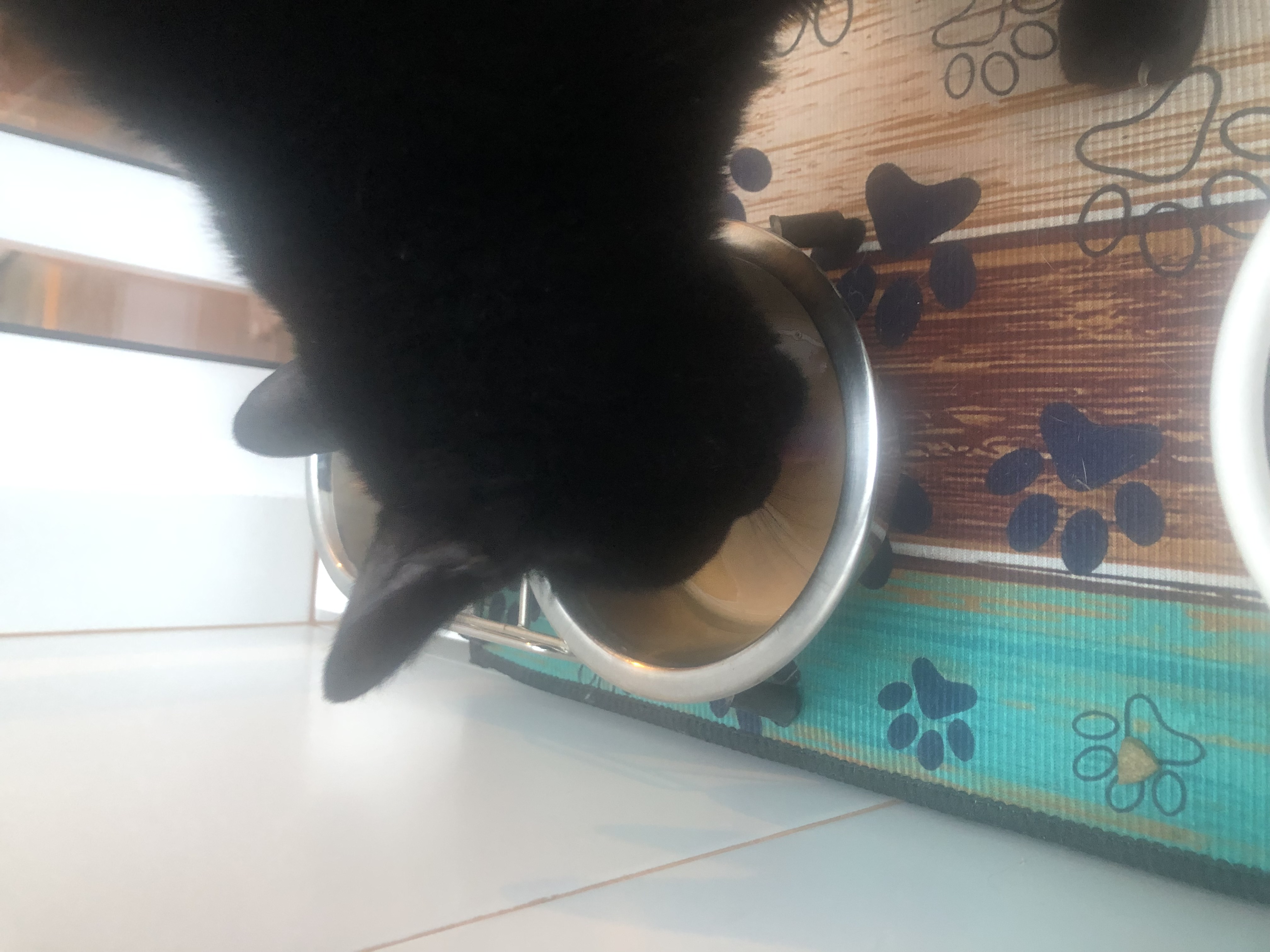 Probando el sabor se salmón