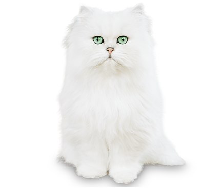 Purina