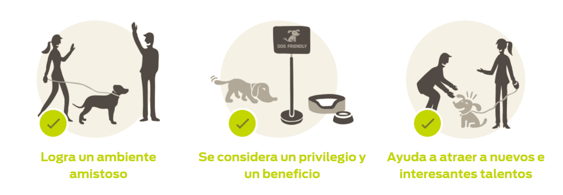 Infografía Mascotas en el puesto de trabajo