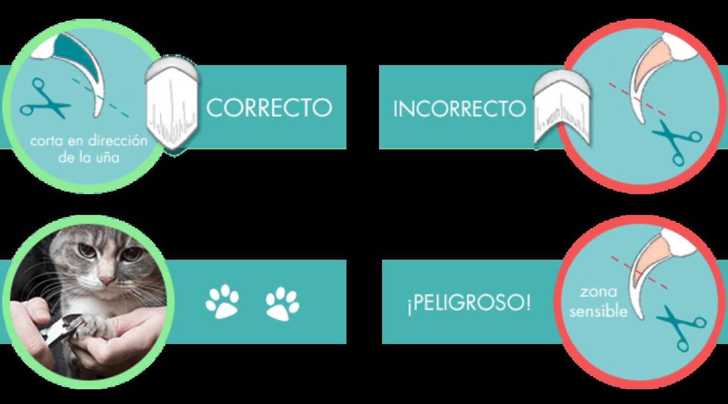 infografia unas