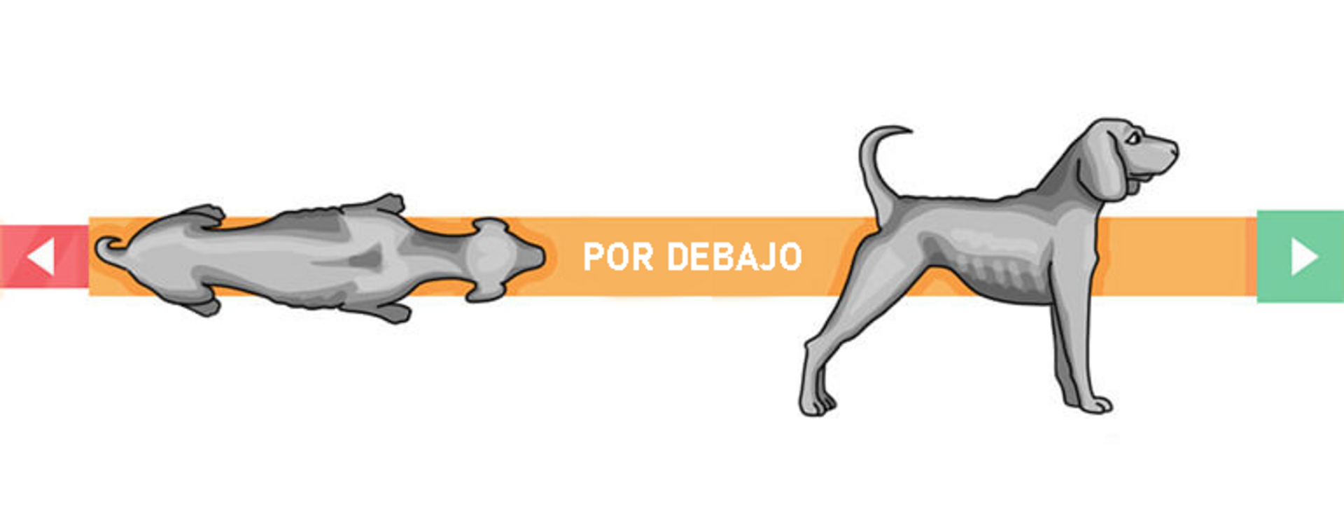 Condición corporal bajo peso