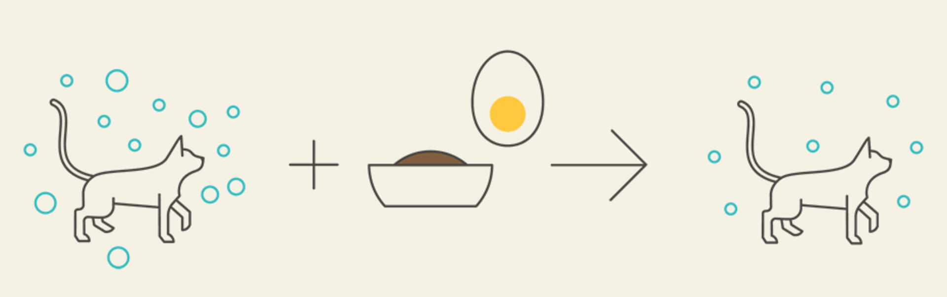 Infografía LiveClear