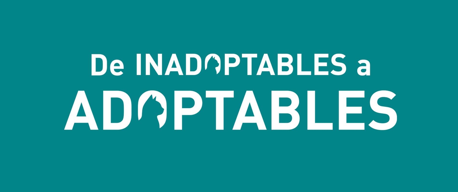 De inadoptables a adoptables