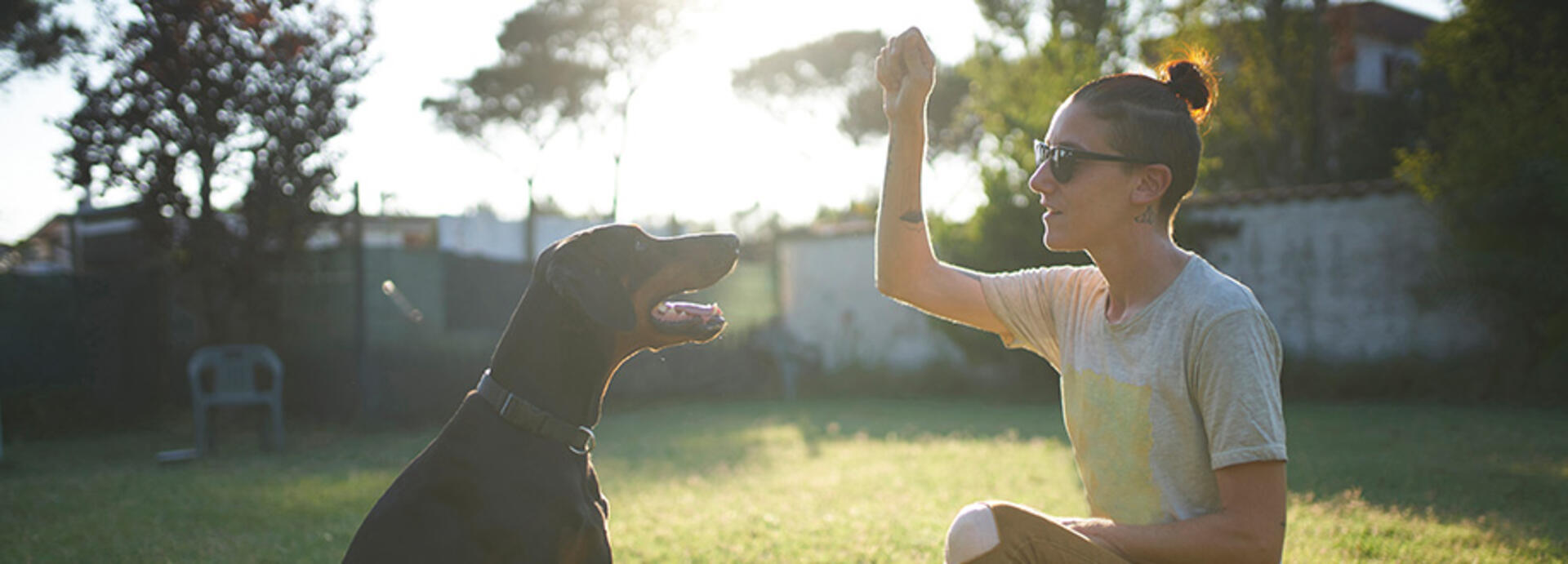 Una mujer juega en el césped con un perro.