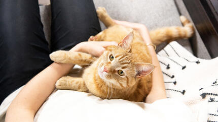 Mujer sujetando un gato