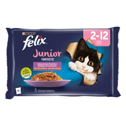 FELIX® Fantastic Junior Vista Frontal
