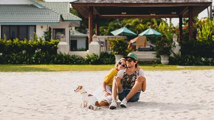 Dónde alojarte con tu perro cerca de la playa