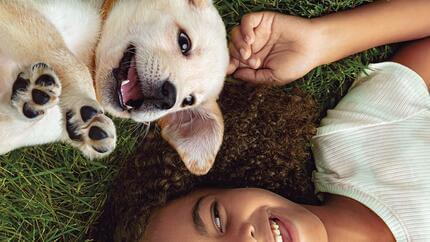 Juegos con mi perro on sale