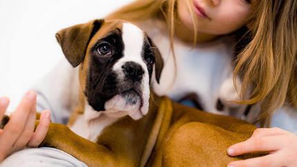 Chica sosteniendo perro.