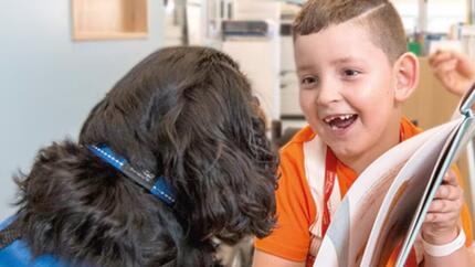 Perro en el hospital