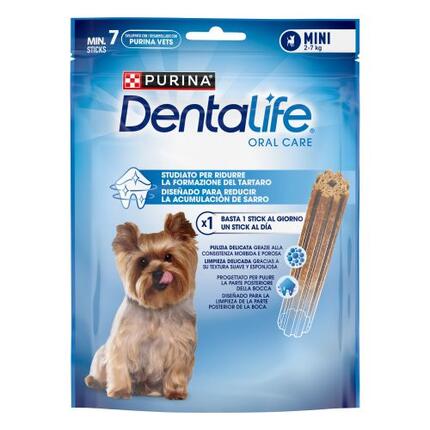 Frontal pack dentalife mini