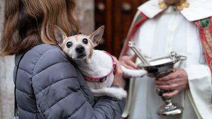 Mujer sosteniendo a un perro pequeño durante una bendición de animales, con un sacerdote sosteniendo un hisopo y un cuenco de