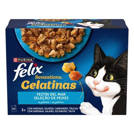 portada producto
