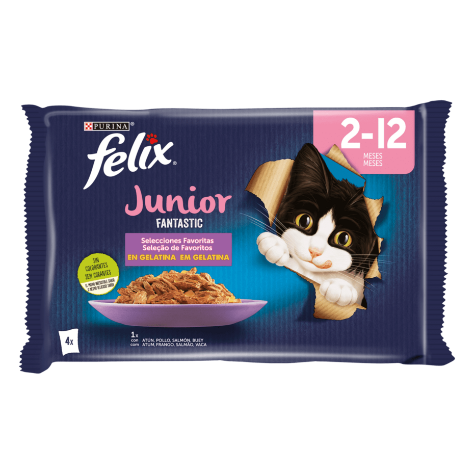 FELIX® Fantastic Junior Vista Frontal