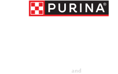 Purina One