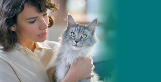Purina One