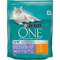 gato vomita bolas de |